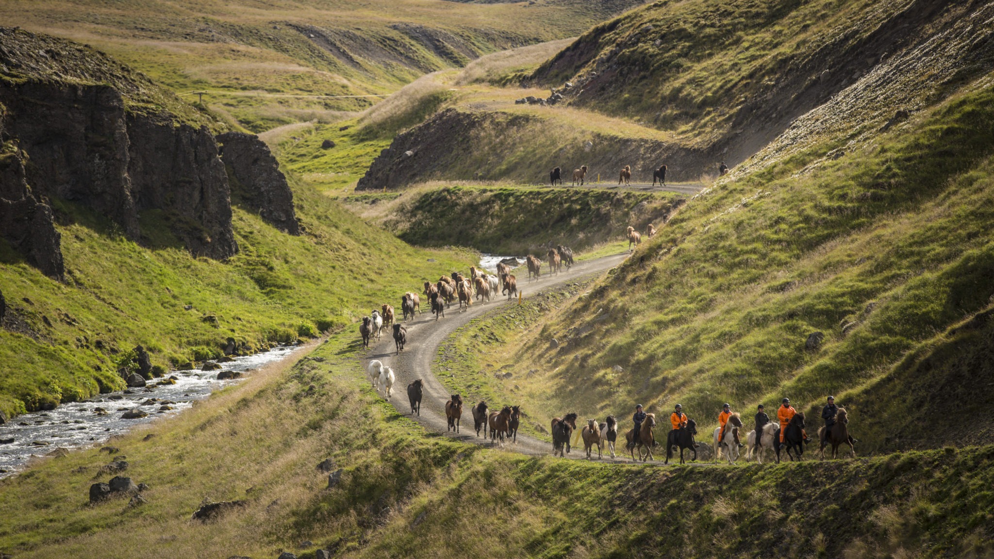 horse riding holiday in Iceland Wilderness Expedition