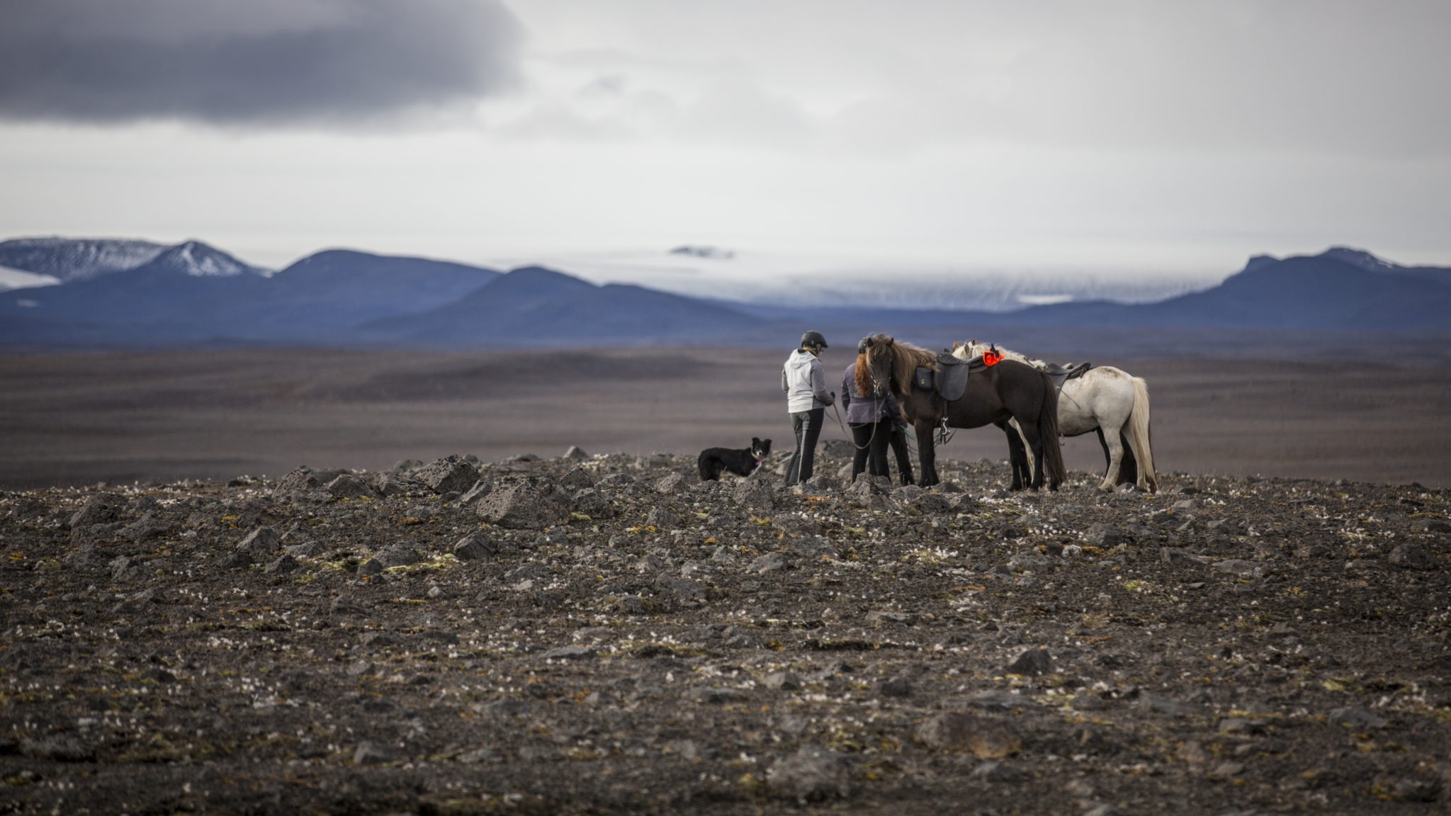 horse riding holiday in Iceland Wilderness Expedition