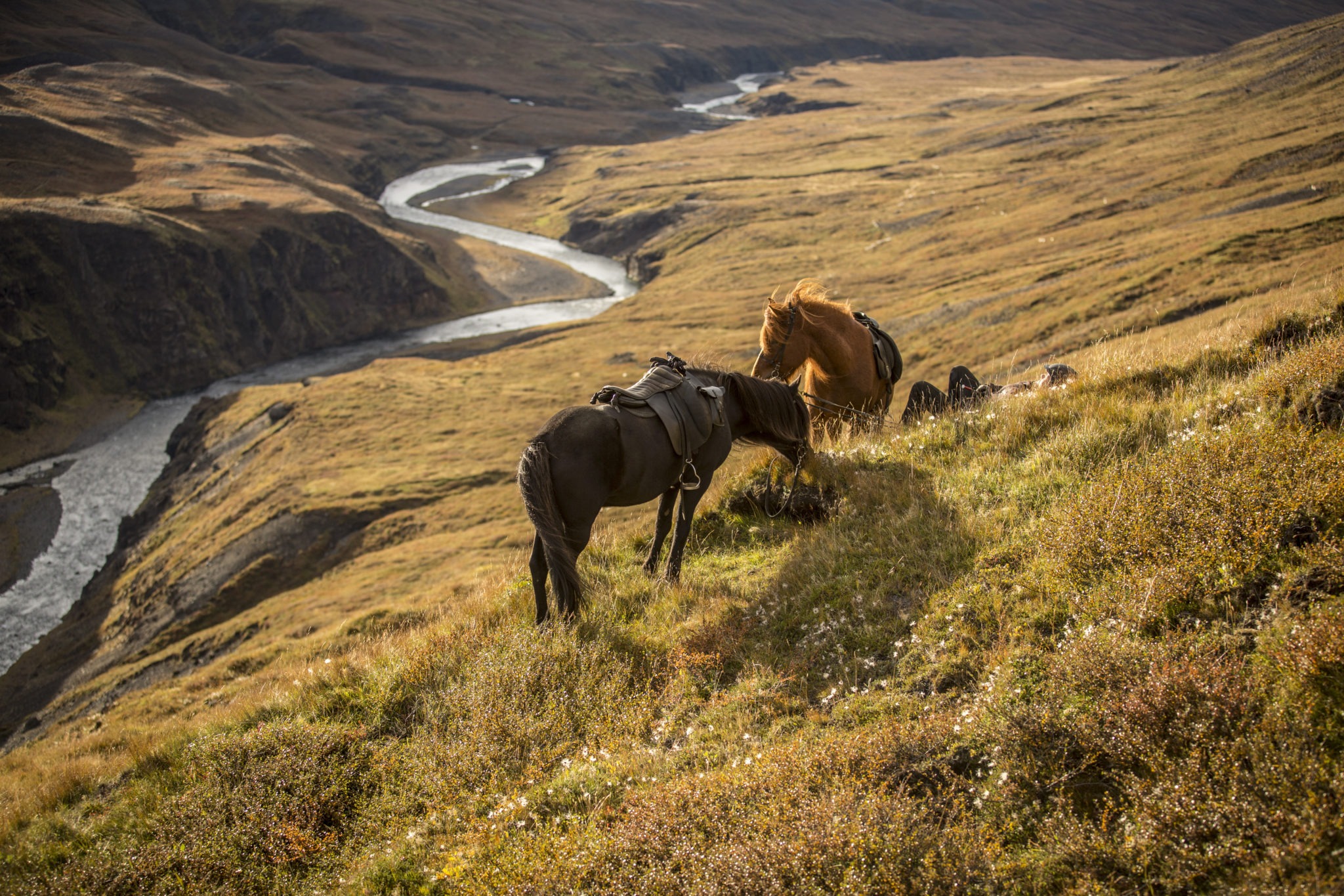 horse riding holiday in Iceland Wilderness Expedition
