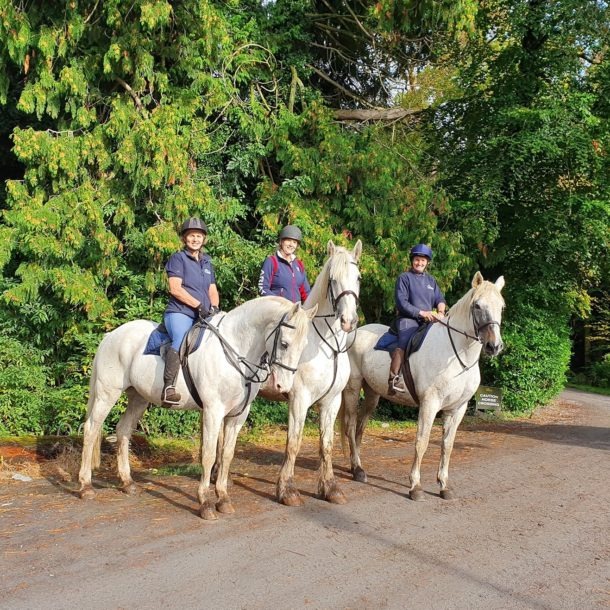 Castle & Estate Ride, Ireland - Globetrotting horse riding holidays