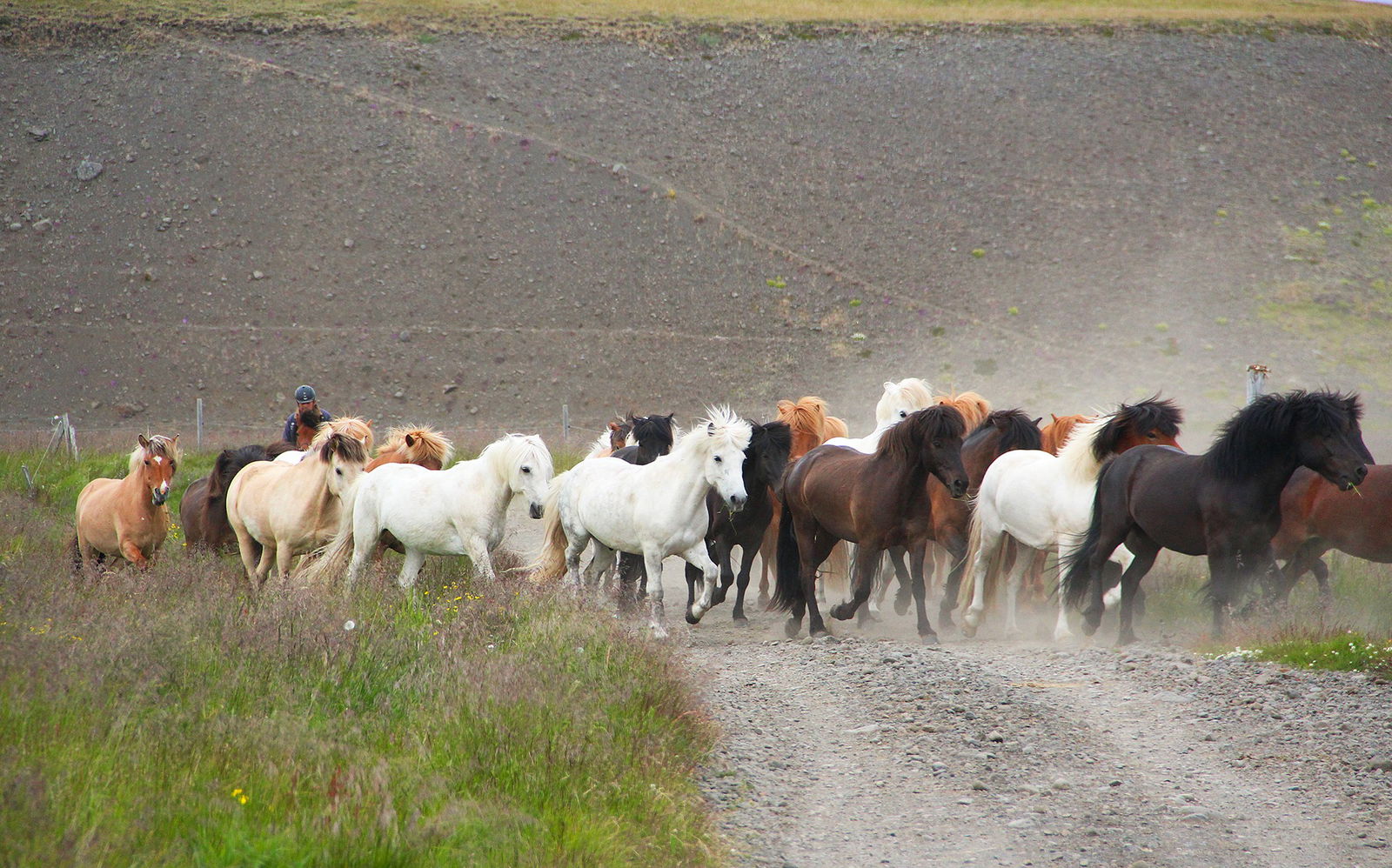 Touch of the Highlands Ride, Iceland - Globetrotting horse riding holidays