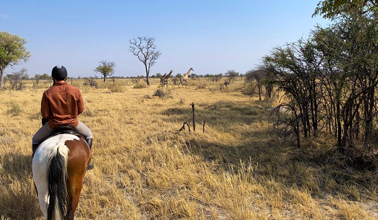 Saddle Up: Erin Harriott's Okavango Delta Ride - Globetrotting horse riding holidays
