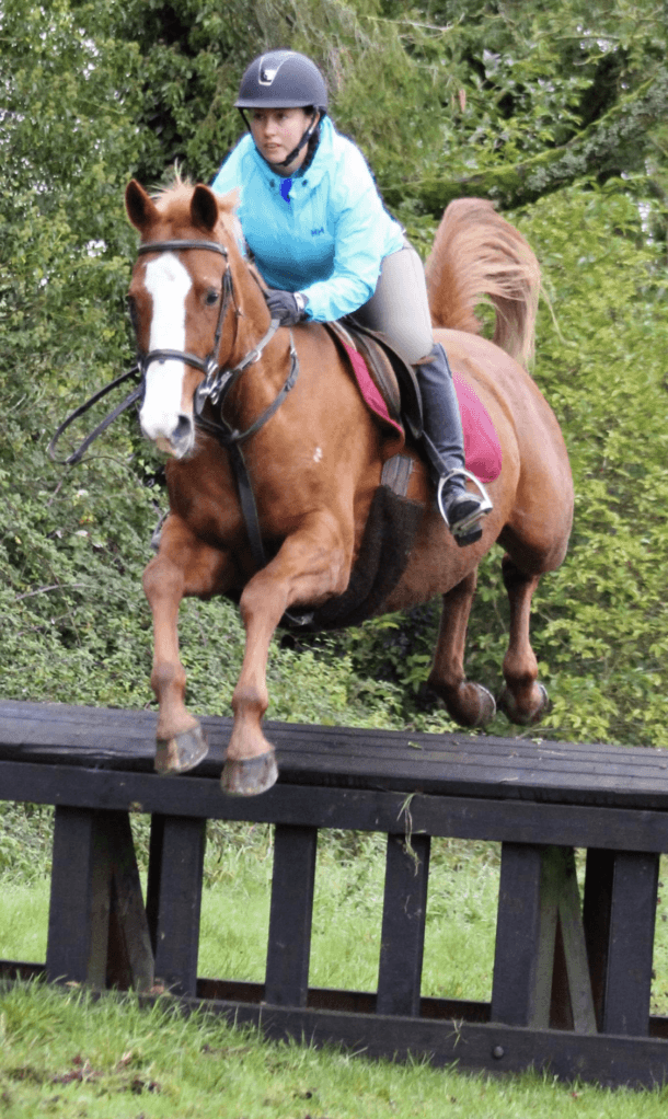 Cross Country in Tipperary, Ireland - Globetrotting horse riding holidays