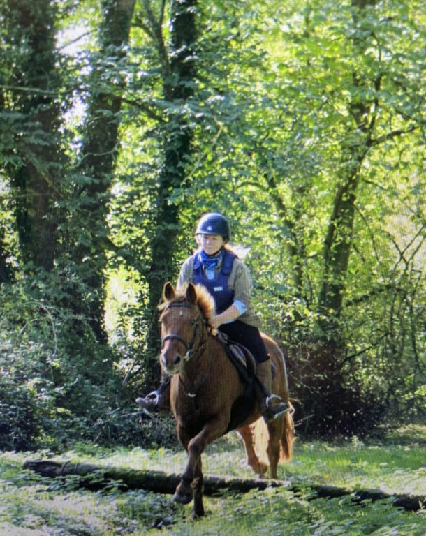 Cross Country in Tipperary, Ireland - Globetrotting horse riding holidays