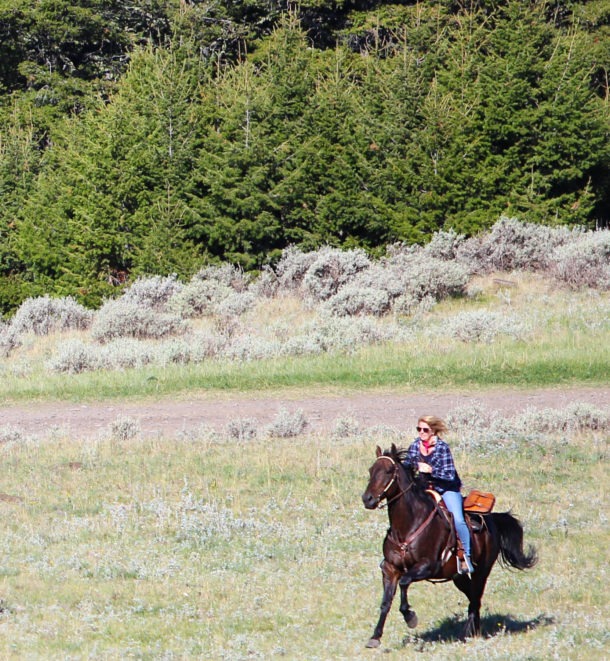 Montana, USA - Globetrotting horse riding holidays