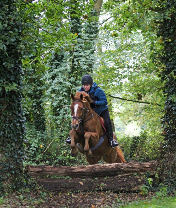 Cross Country in Tipperary, Ireland - Globetrotting horse riding holidays