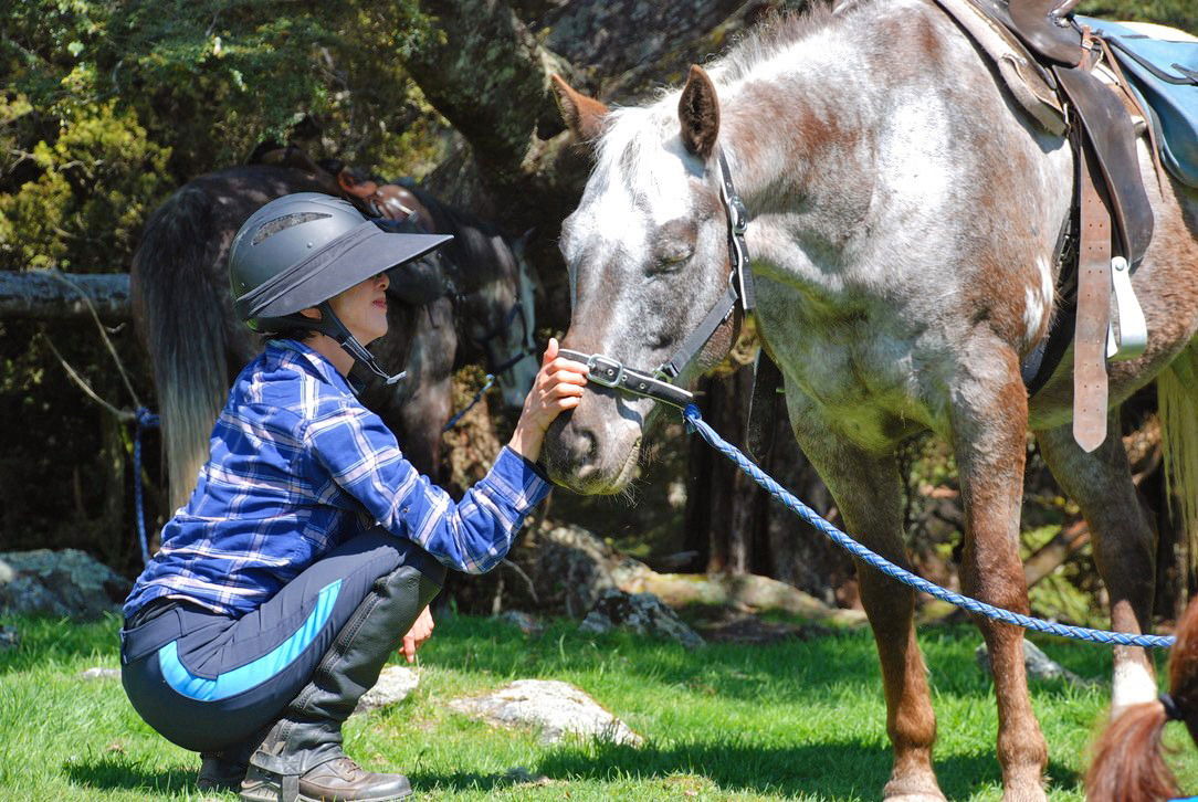 Don't Leave Home Without a Helmet Visor - Globetrotting horse riding holidays