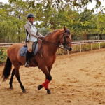 Dressage Ride in Spain - Globetrotting horse riding holidays