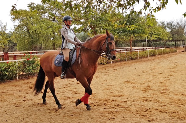 Dressage Ride in Spain - Globetrotting horse riding holidays