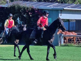The Margaret River Ride - Globetrotting horse riding holidays