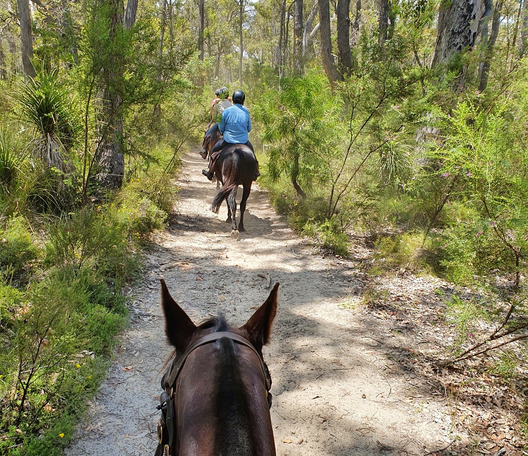 The Margaret River Ride - Globetrotting horse riding holidays