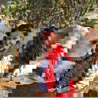 Costa Azul, Portugal - Globetrotting horse riding holidays