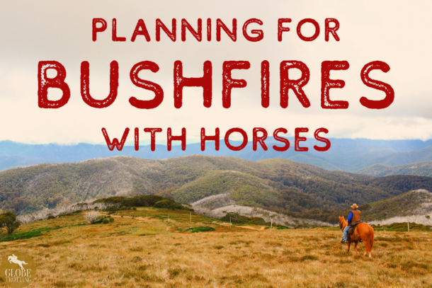 Planning for Bushfires with Horses - Globetrotting horse riding holidays