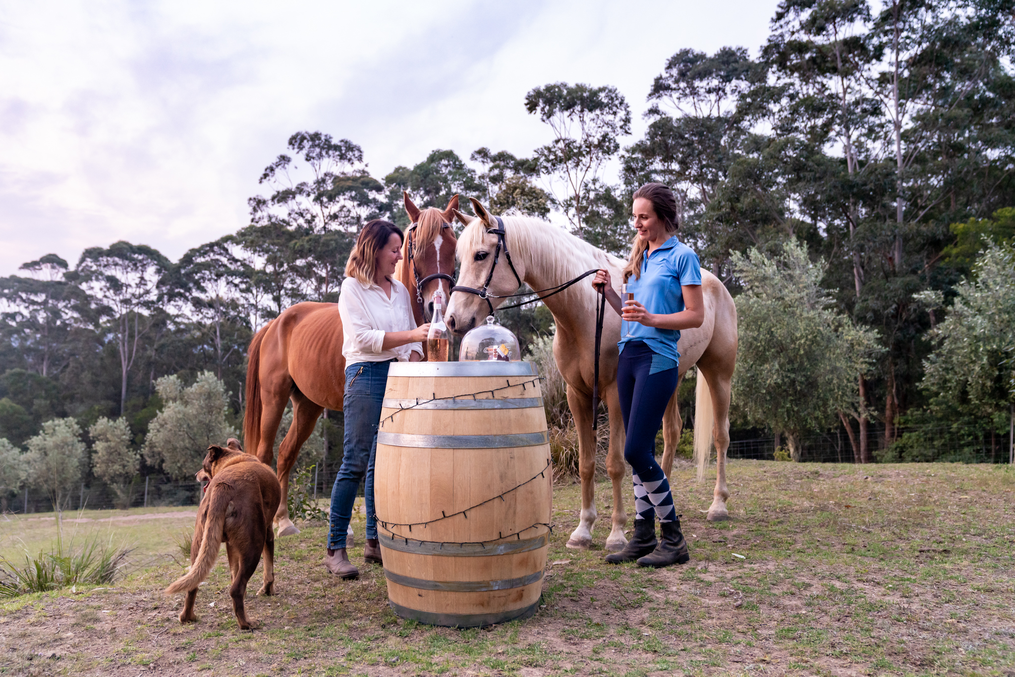 wine tasting with horses horse riding holiday near sydney by globetrotting
