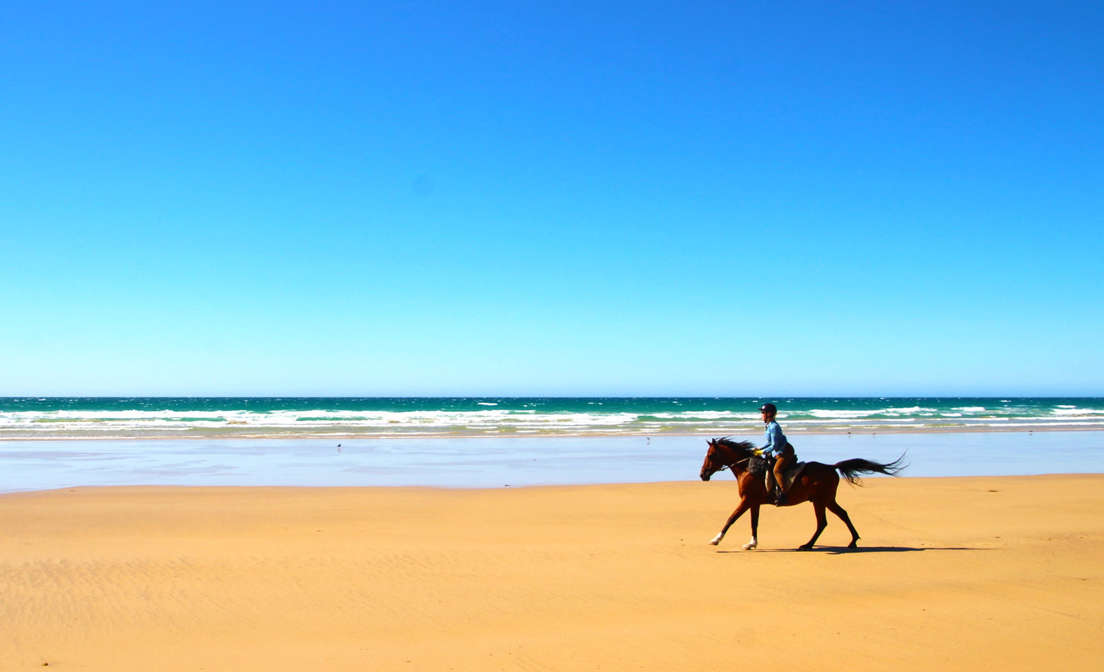 Tassie Tiger Trail, Australia - Globetrotting Horse Riding Holidays