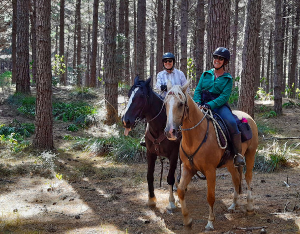 The Twin Coast Adventure, New Zealand - Globetrotting Horse Riding Holidays