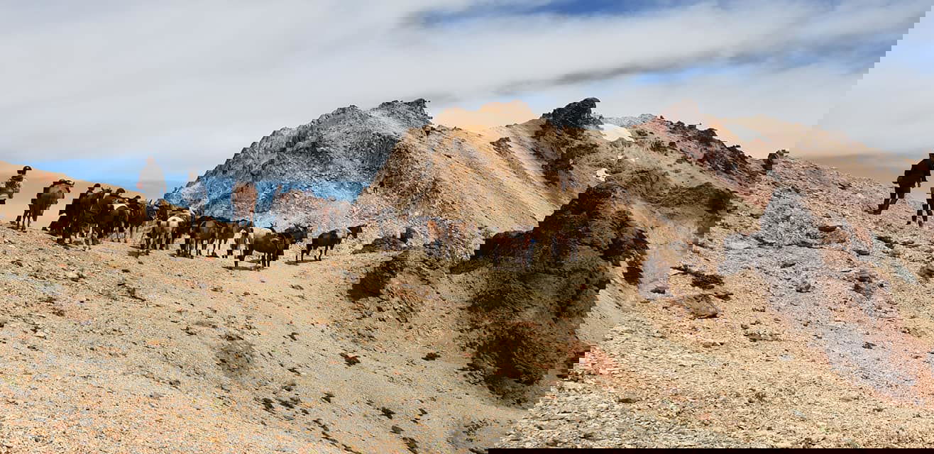 The Patagonia Trail, Argentina - Globetrotting horse riding holidays