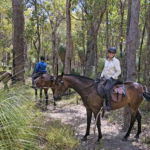The Margaret River Ride, Western Australia - Globetrotting Horse Riding Holidays