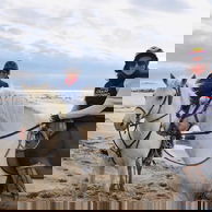 The Camargue Ride, France - Globetrotting horse riding holidays