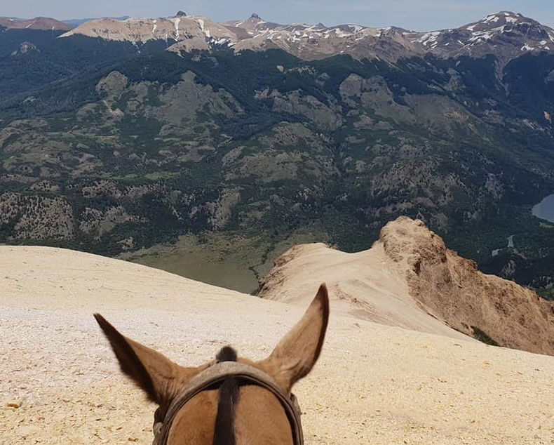 Feedback on The Patagonia Trail, Argentina - Globetrotting horse riding holidays