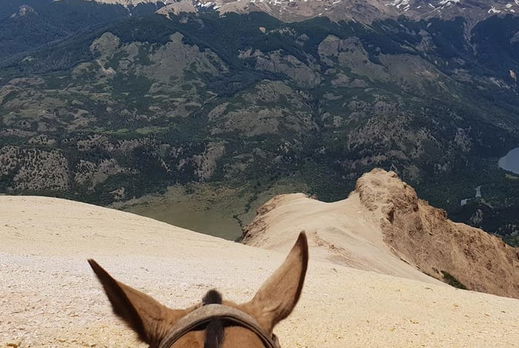 Feedback on The Patagonia Trail, Argentina - Globetrotting horse riding holidays
