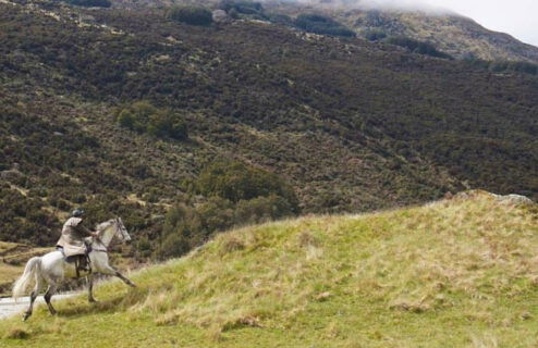 Glenorchy Back Country Ride, New Zealand - Globetrotting horse riding holidays