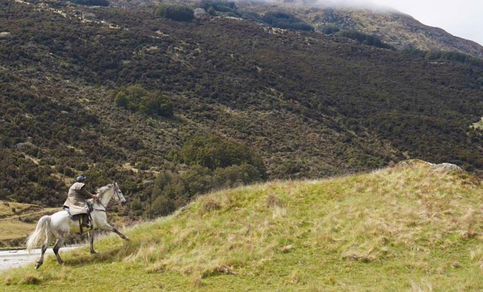 Glenorchy Back Country Ride, New Zealand - Globetrotting horse riding holidays