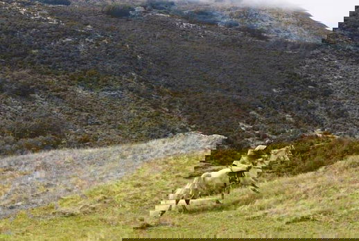 Glenorchy Back Country Ride, New Zealand - Globetrotting horse riding holidays