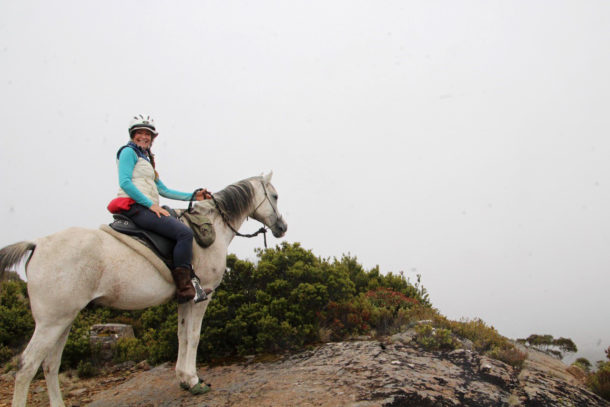 Tassie Tiger Trail, Australia - Globetrotting horse riding holidays