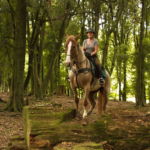 The River Valley Ride, North Island, New Zealand - Globetrotting horse riding holidays