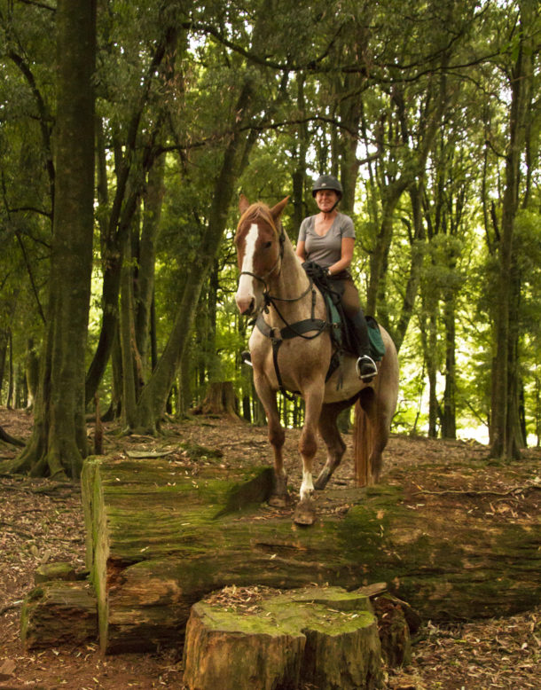 The River Valley Ride, North Island, New Zealand - Globetrotting horse riding holidays