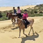 The Twin Coast Adventure, Bay of Islands, New Zealand - Globetrotting horse riding holidays