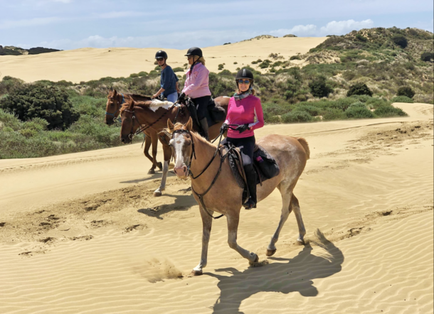 The Twin Coast Adventure, Bay of Islands, New Zealand - Globetrotting horse riding holidays