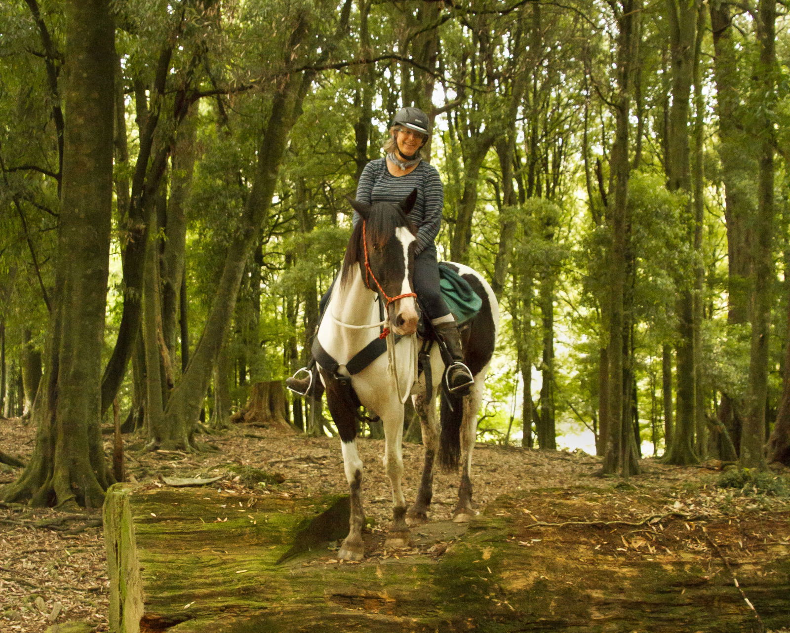 Feedback on The River Valley Ride, North Island, New Zealand - Globetrotting horse riding holidays