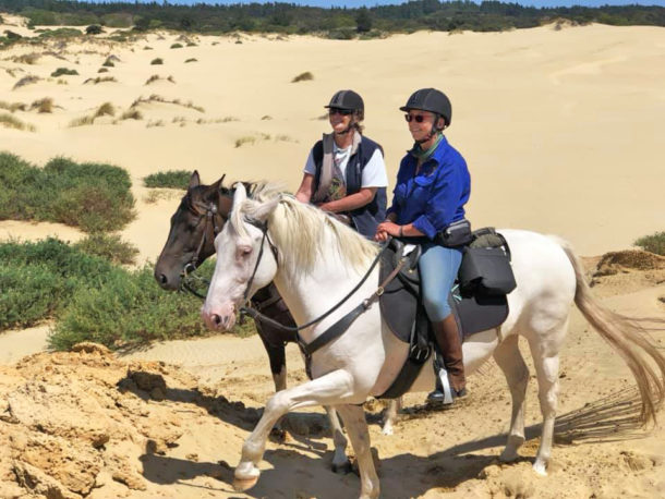 The Twin Coast Adventure, North Island, New Zealand - Globetrotting horse riding holidays