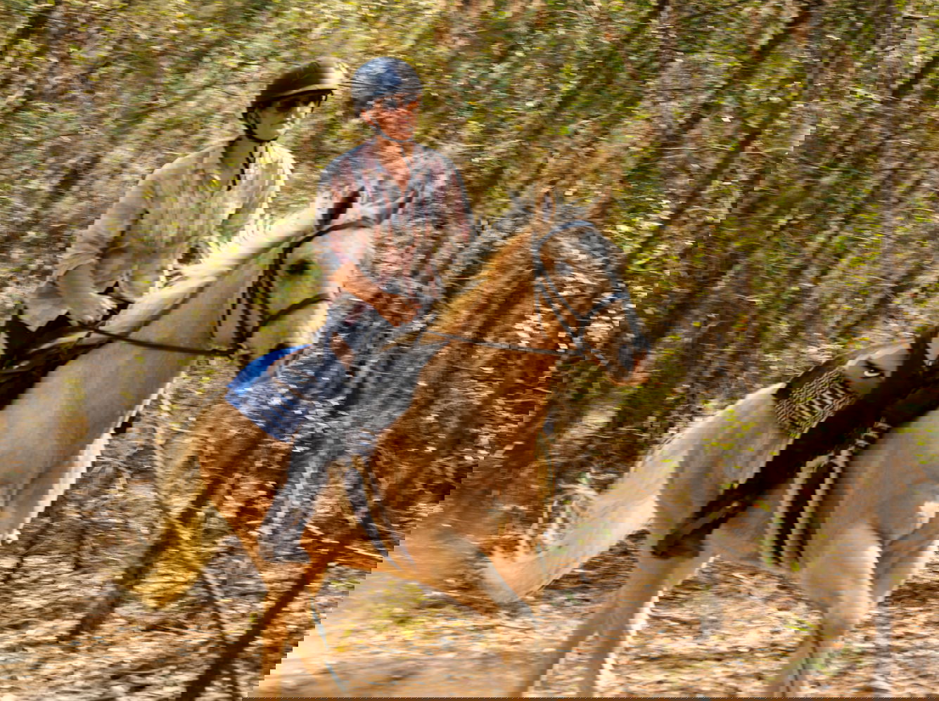 Meet our Guide: Tiffany - The Shoalhaven Ride, Australia - Globetrotting horse riding holidays