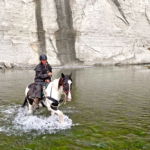 The River Valley Ride, North Island, New Zealand - Globetrotting horse riding holidays