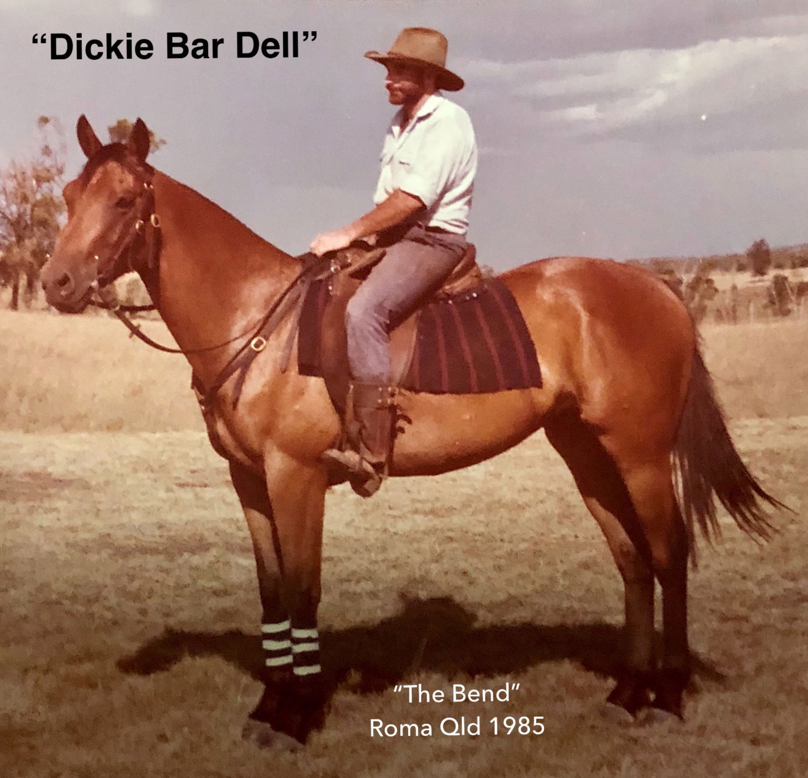 Meet a Globetrotter: Peter Scott - Globetrotting horse riding holidays