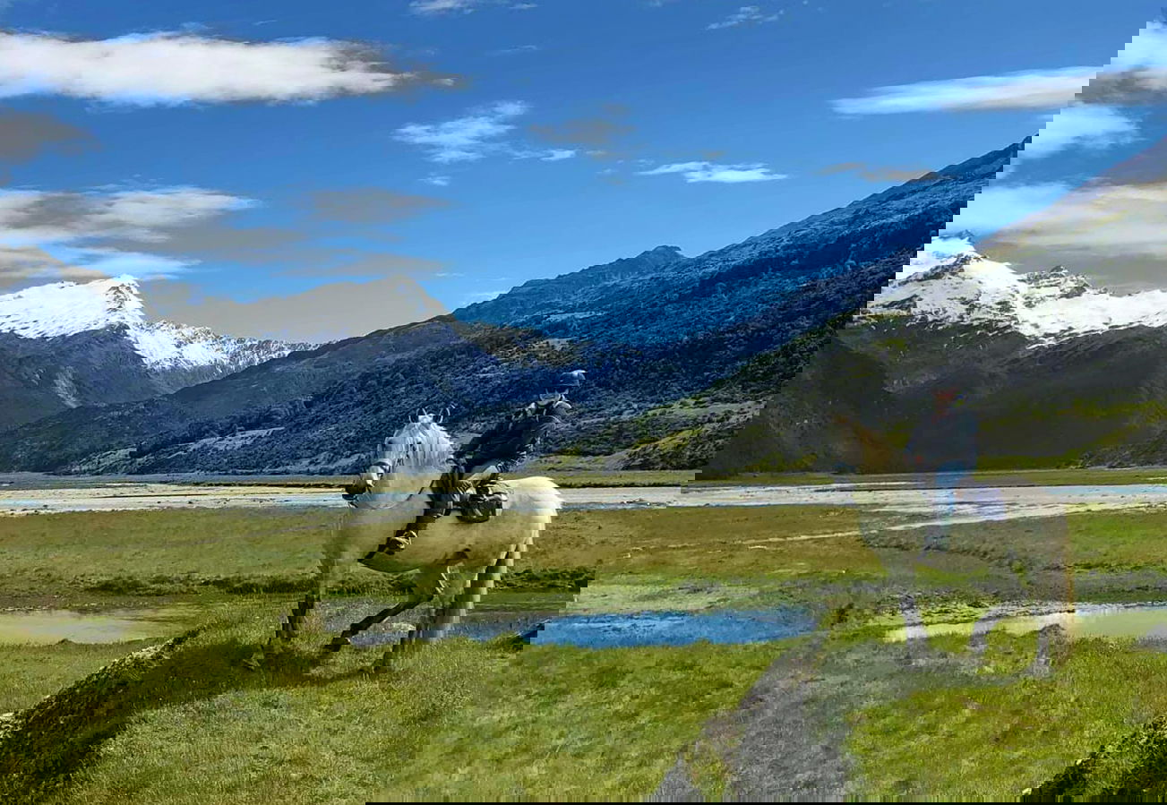 Meet a Globetrotter: Peter Scott - Glenorchy Back Country Ride, South Island, New Zealand - Globetrotting horse riding holidays