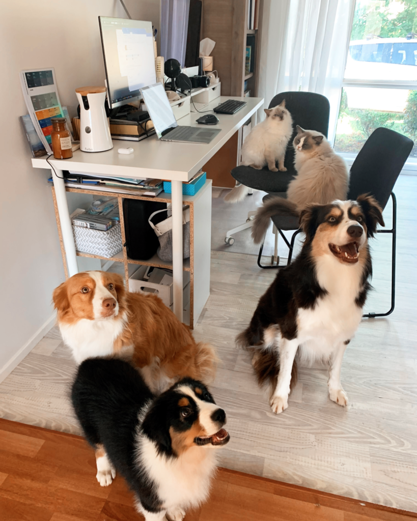 Working from Home - Globetrotting horse riding holidays