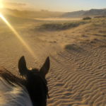 Twin Coast Adventure, North Island, New Zealand - Globetrotting horse riding holidays