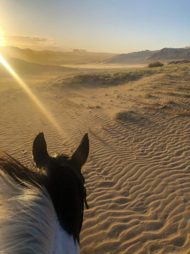 Twin Coast Adventure, North Island, New Zealand - Globetrotting horse riding holidays