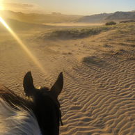 Twin Coast Adventure, North Island, New Zealand - Globetrotting horse riding holidays