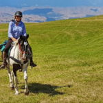 The River Valley Ride, North Island, New Zealand - Globetrotting horse riding holidays