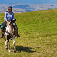 The River Valley Ride, North Island, New Zealand - Globetrotting horse riding holidays