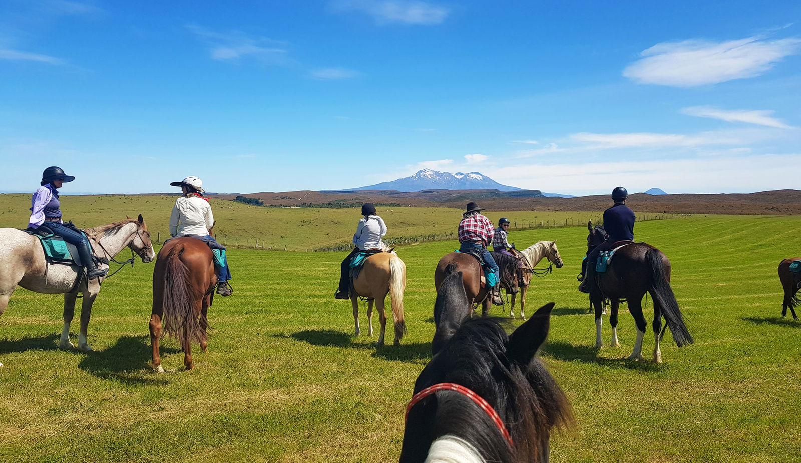 Feedback on the River Valley Ride, North Island, New Zealand - Globetrotting horse riding holidays
