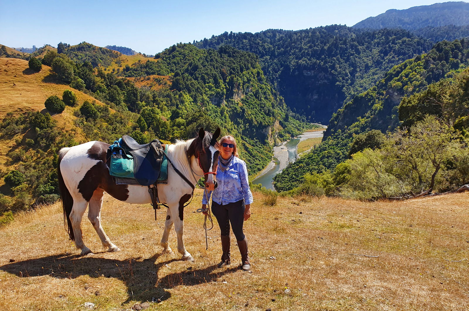 Feedback on the River Valley Ride, North Island, New Zealand - Globetrotting horse riding holidays