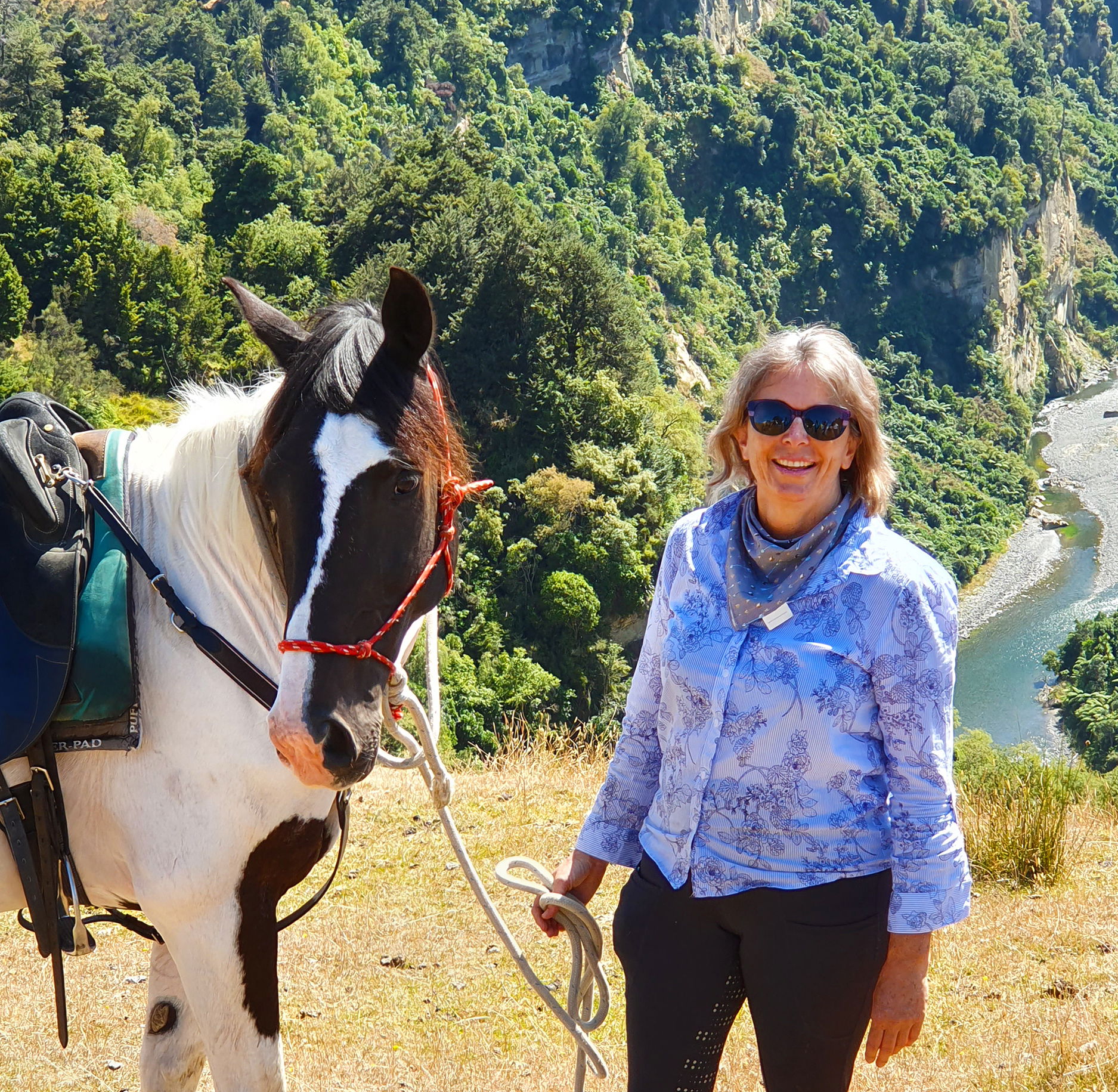 Feedback on the River Valley Ride, North Island, New Zealand - Globetrotting horse riding holidays