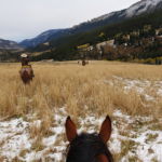 Big Horn Cattle Drive, USA - Globetrotting horse riding holidays