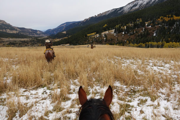 Big Horn Cattle Drive, USA - Globetrotting horse riding holidays